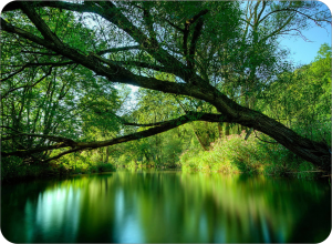 LForm is the premium environmentally responsible choice